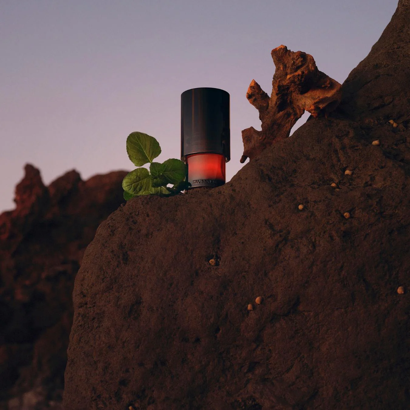 Miniatura 9